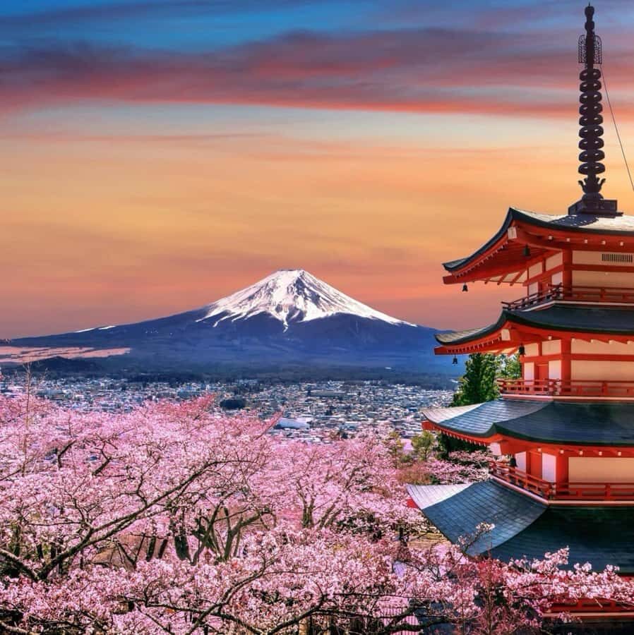 From Tokyo: Mount Fuji Full Day Private Tour English Guide - Lake Kawaguchi and Oishi Park: The Fuji Horizon Feeling