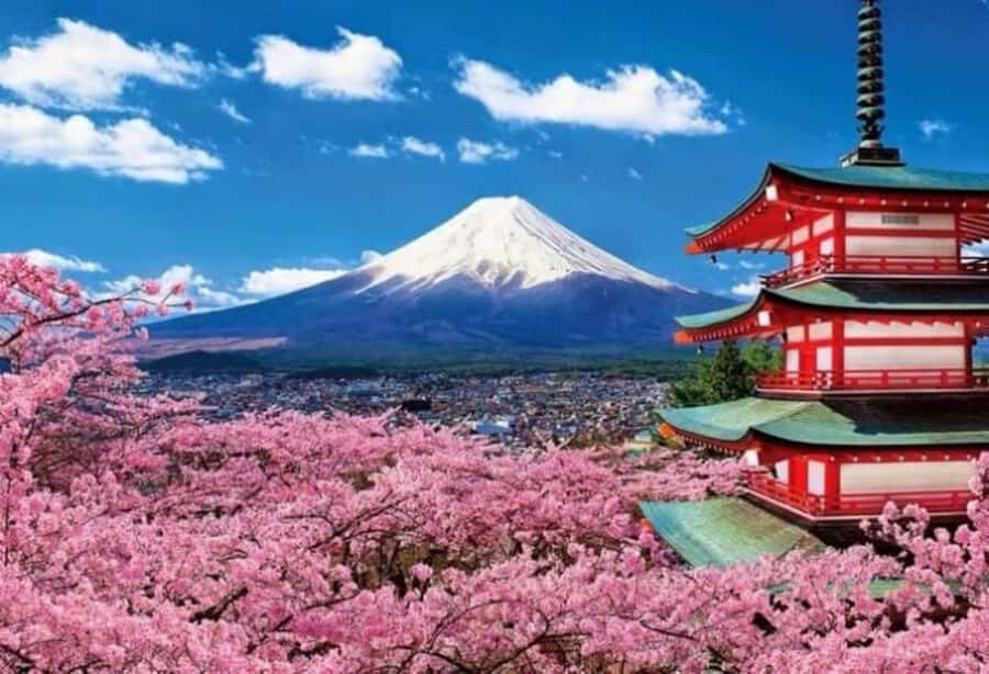 From Tokyo: Mount Fuji Full Day Private Tour English Guide - Kita-Guchi Fuji Sengen Shrine: A More Grounded Fuji Stop