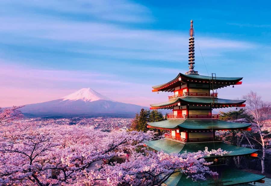 From Tokyo: Mount Fuji Full Day Private Tour English Guide - Flexibility Is the Real Luxury