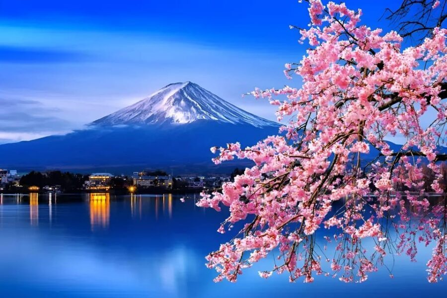 From Tokyo: Mount Fuji & Hakone Full Day Private Tour - Why this Fuji + Hakone loop feels like the right kind of big-day