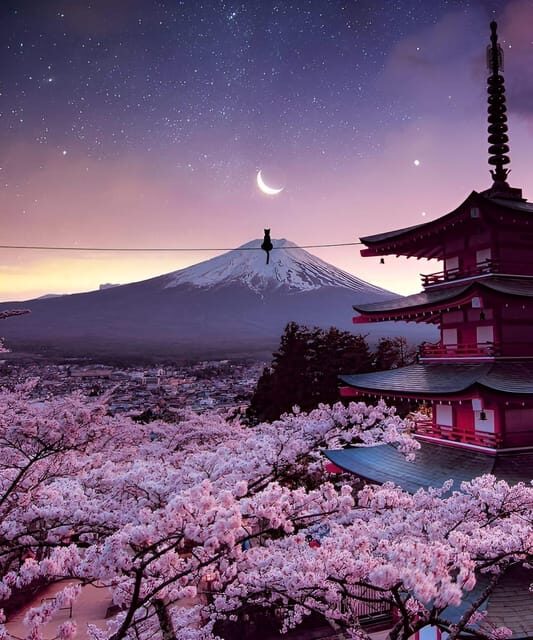 From Tokyo: Mount Fuji & Hakone Full Day Private Tour - Old-village atmosphere at Saiko Iyashi-no-Sato Nenba