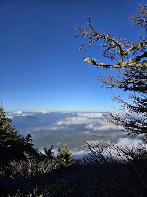 From Tokyo: Mount Fuji & Hakone Full Day Private Tour - That extra 30-minute slice: Oshino Hakkai or Lake Saiko bat cave area