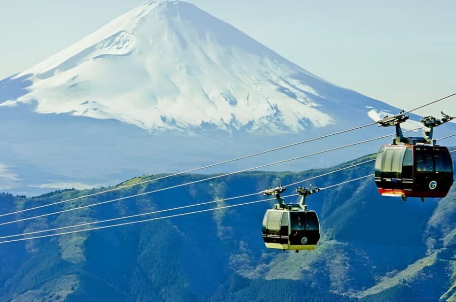 From Tokyo: Mount Fuji & Hakone Full Day Private Tour - How pickup and private driving change the whole experience