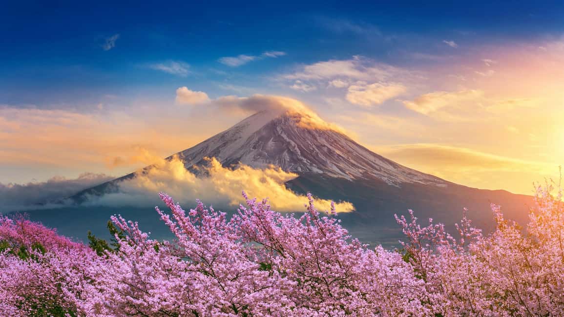 From Tokyo: Mount Fuji Highlights Private Tour - Oshino Hakkai ponds: eight spring-fed stops, water to taste, and Hoto noodles