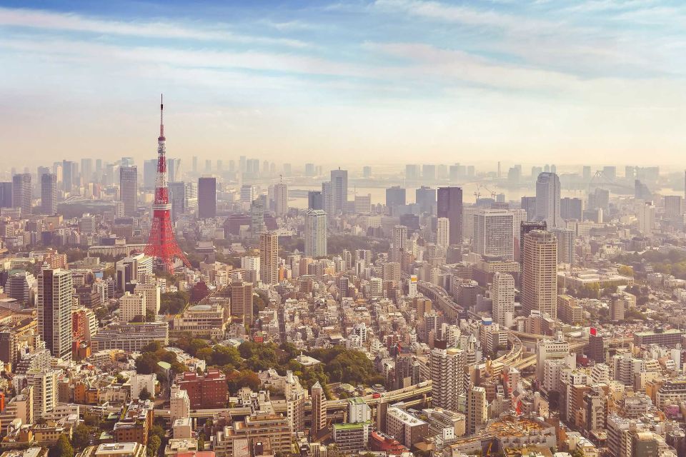 From Tokyo: Mount Fuji Private Day Tour - Pickup Zones, Vehicle Size, and What Your Group Needs