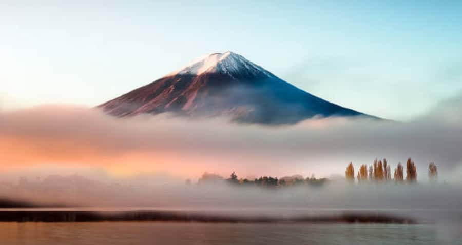 From Tokyo : Mount Fuji Private Day Tour with English Driver - Mount Fuji 5th Station: highest vehicle-access point, plus extra shuttle cost to plan for