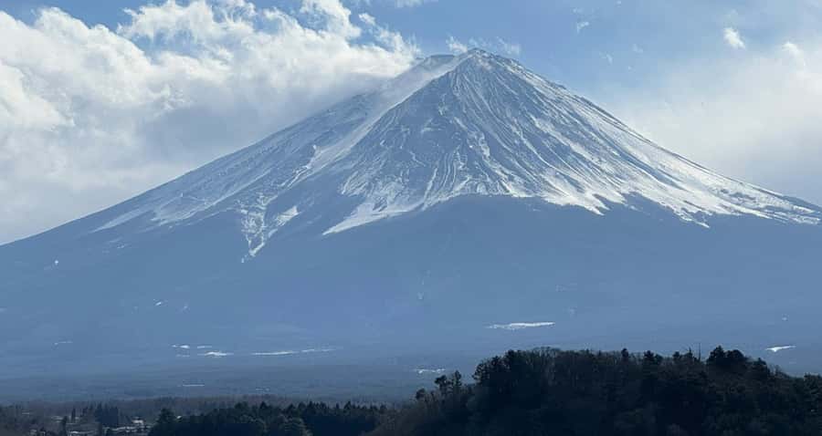 From Tokyo : Mount Fuji Private Day Tour with English Driver - Price and logistics: what the $313 per group gets you in value