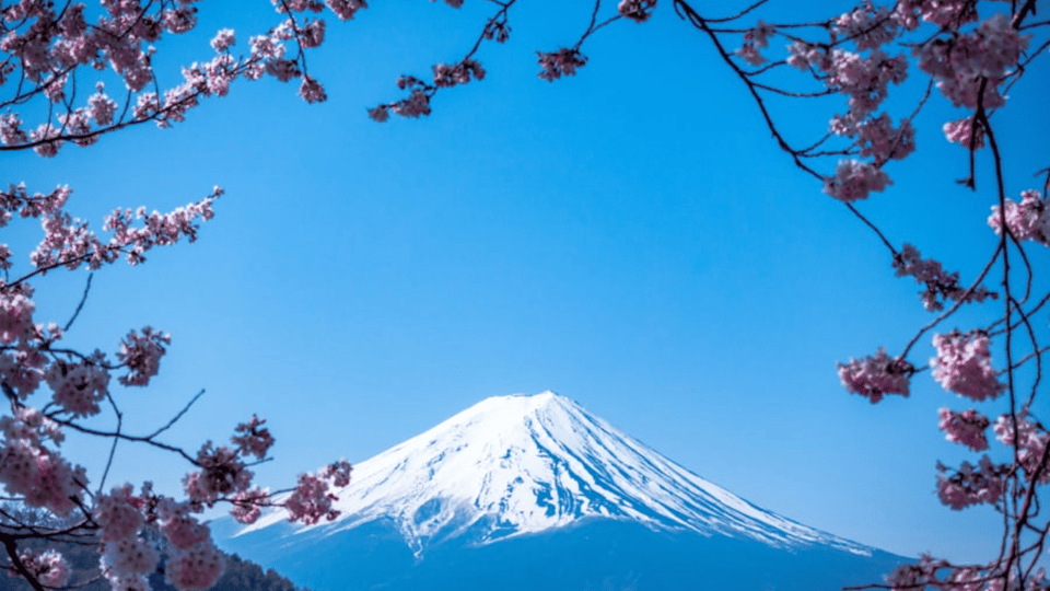 From Tokyo: Mount Fuji Private Day Tour With English Guide - The biggest decision: Mt. Fuji 5th Station vs. viewpoint time