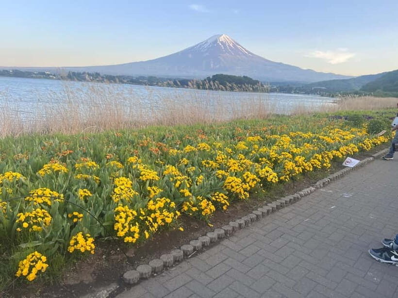 From Tokyo: Mount Fuji Private Tour with a Driver/Guide - Mt. Fuji 5th Station: your best quick taste of high-elevation views