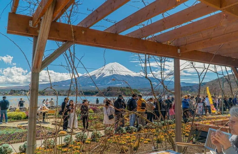 From Tokyo: Mount Fuji Private Tour with a Driver/Guide - Lake Kawaguchi and Oishi Park: where Fuji reflections can still happen