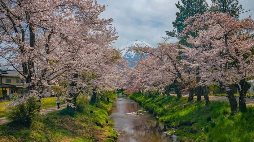 From Tokyo: Mount Fuji Private Tour with a Driver/Guide - Pickup in Tokyo and the reality of a 10-hour plan