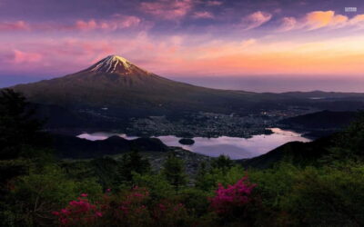 From Tokyo: Mount Fuji Private Tour With English Guide - Chureito Pagoda and Fuji Framing: The First Big Win