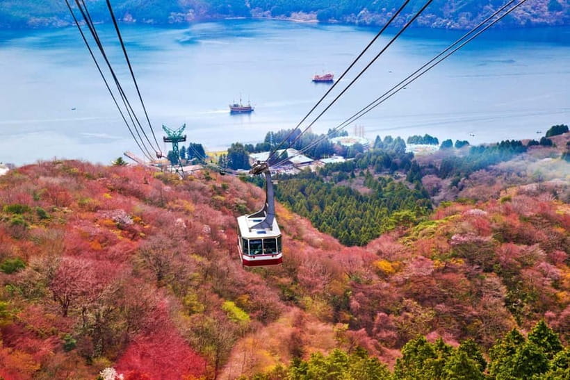 From Tokyo: Mount Fuji Private Tour With English Guide - Lake Ashi Views: When Fuji Is Far, But the Scenery Still Works