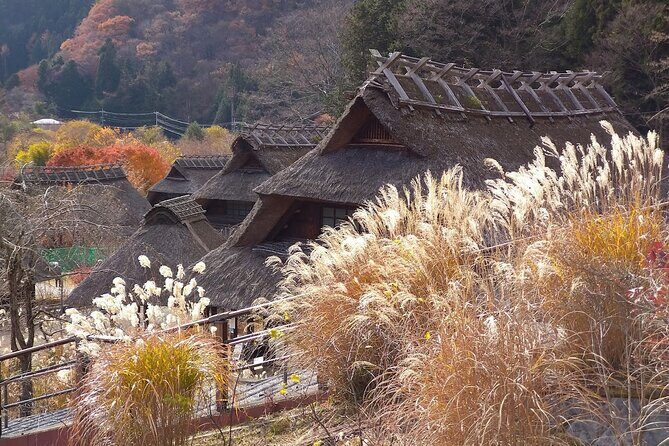 From Tokyo: Mount Fuji Sightseeing Full Day Trip - 10 hours, one group, and how to use the time well