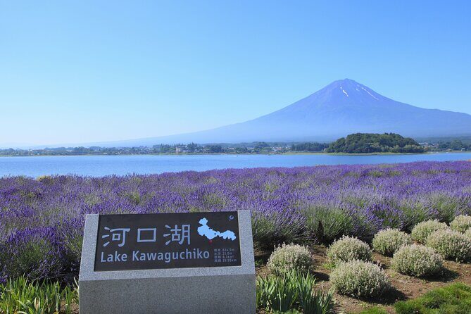 From Tokyo: Mount Fuji Sightseeing Full Day Trip - Saiko Iyashi no Sato Nenba: thatched roofs and a samurai-helmet look