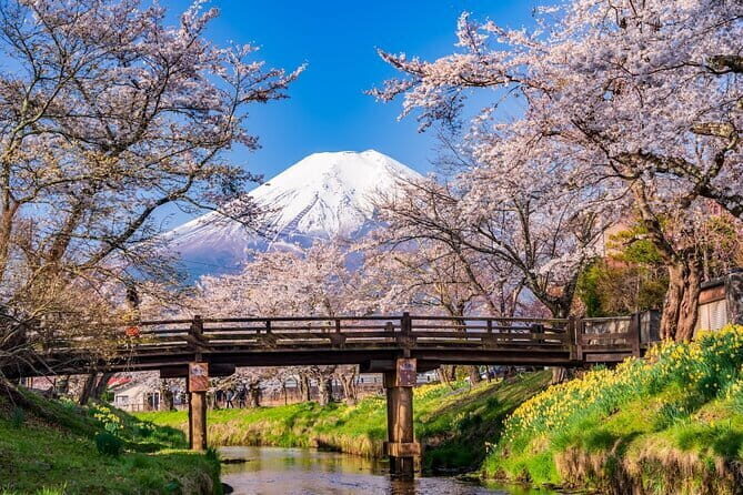 From Tokyo: Mount Fuji Sightseeing One Day Trip - Key things to know before you go
