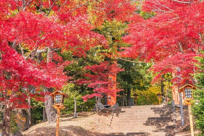 From Tokyo: Mount Fuji Sightseeing One Day Trip - Price and value: what you pay for, and what you plan around