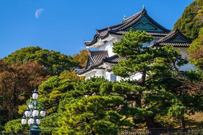 From Tokyo: Mount Fuji Sightseeing One Day Trip - Lake Kawaguchiko and Oishi Park: the classic Fuji viewpoints