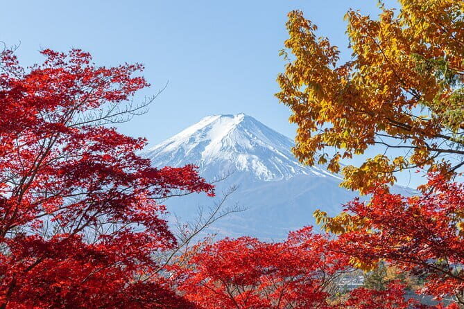 From Tokyo: Mount Fuji Sightseeing One Day Trip - How the 10-hour schedule keeps Fuji options alive