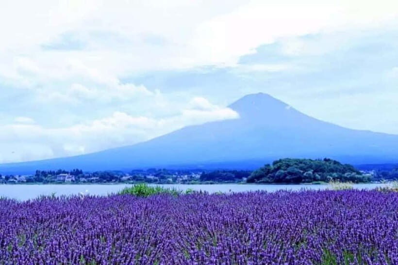 From Tokyo: Mt. Fuji 5th station and Oshino Hakkai Day Trip - Meeting at Shinjuku’s LOVE statue and getting rolling fast