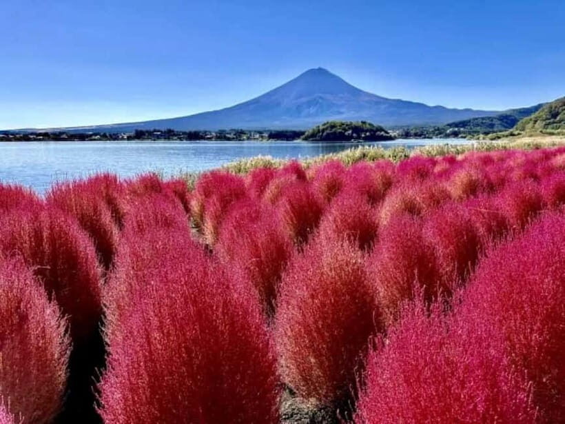 From Tokyo: Mt. Fuji 5th station and Oshino Hakkai Day Trip - How the timing feels across 10 hours