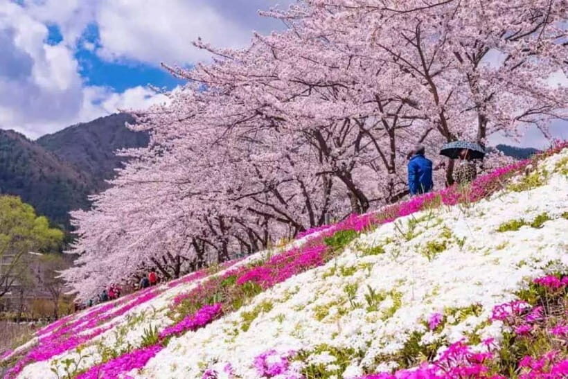 From Tokyo: Mt. Fuji 5th station and Oshino Hakkai Day Trip - The “luxury vehicle” part: comfort, not just style