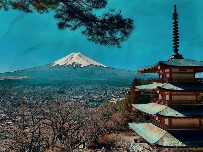 From Tokyo: Mt. Fuji And Hakone Private Sightseeing Day Trip - Tokyo pickup and private driving: the real value