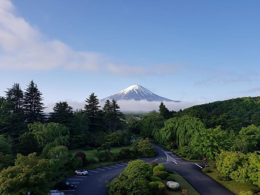 From Tokyo: Mt. Fuji And Hakone Private Sightseeing Day Trip - Oishi Park and Oshino Hakkai: the calmer, more traditional Fuji side