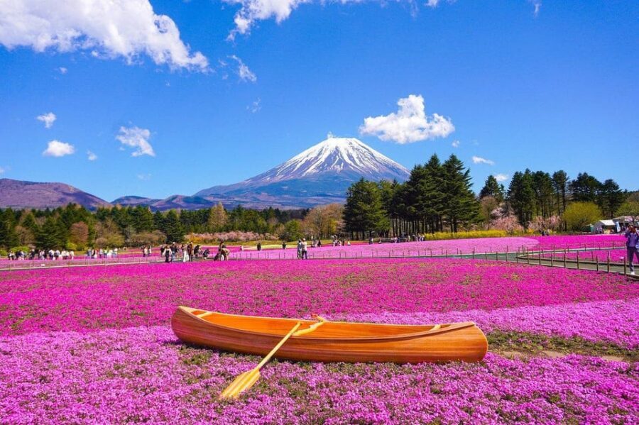 From Tokyo: Mt. Fuji And Hakone Private Sightseeing Day Trip - The private-group feel: flexibility, pace, and what to ask