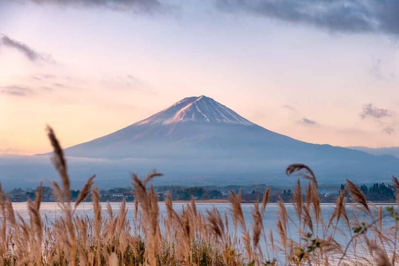 From Tokyo: Mt.Fuji & Gotemba Private Customizable Day Trip. - How the private Fuji-and-shopping day really works