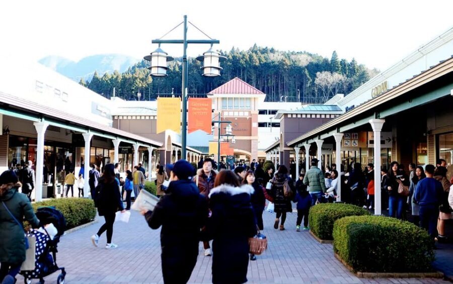 From Tokyo: Mt.Fuji & Gotemba Private Customizable Day Trip. - Driver and vehicle details that affect your day