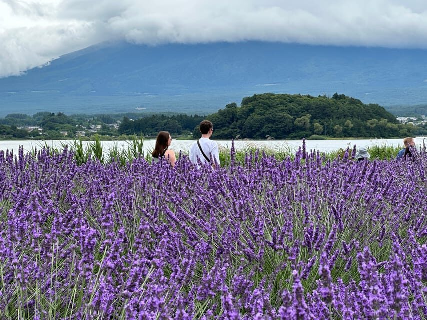 From Tokyo: Mt.Fuji & Gotemba Private Customizable Day Trip. - Who this day trip fits best