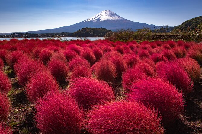 From Tokyo Mt.Fuji, Lake Kawaguchi, Makaino Farm day tour - Oshino Hakkai: mirror-like springs that feel old Japan