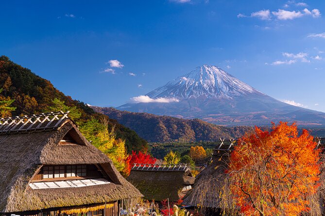 From Tokyo Mt.Fuji, Lake Kawaguchi, Makaino Farm day tour - Saiko Iyashi no Sato Nemba: a thatched-village break with self-guided time