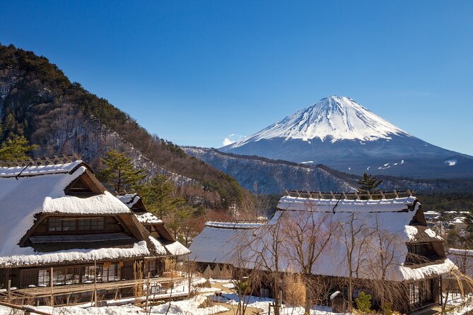 From Tokyo Mt.Fuji, Lake Kawaguchi, Makaino Farm day tour - Makaino Farm: sheep, horses, and farm dairy with Fuji in view