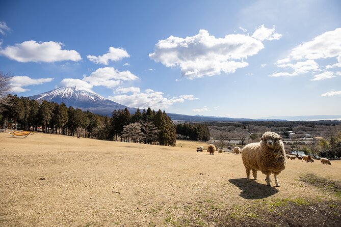 From Tokyo Mt.Fuji, Lake Kawaguchi, Makaino Farm day tour - Timing, weather, and protecting your Mt. Fuji photos