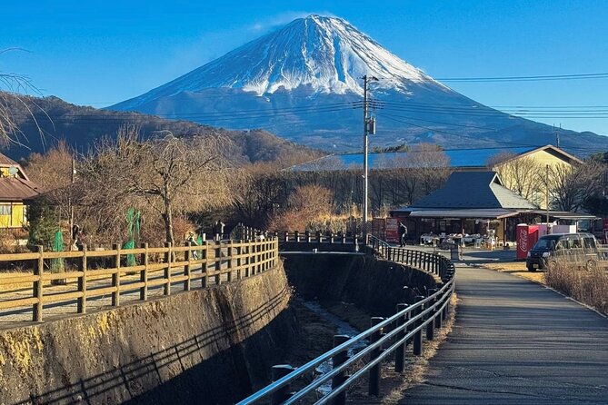 From Tokyo Mt.Fuji, Lake Kawaguchi, Makaino Farm day tour - Price and value: what you’re really paying for