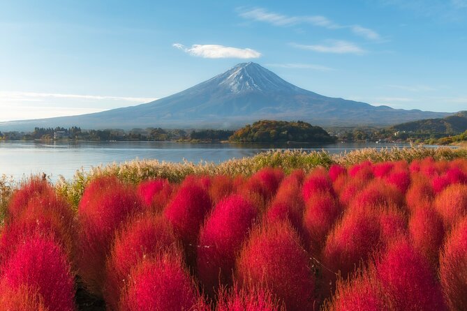 From Tokyo Mt.Fuji, Lake Kawaguchi, Makaino Farm day tour - Oishi Park: Lake Kawaguchi views in a short, sweet window