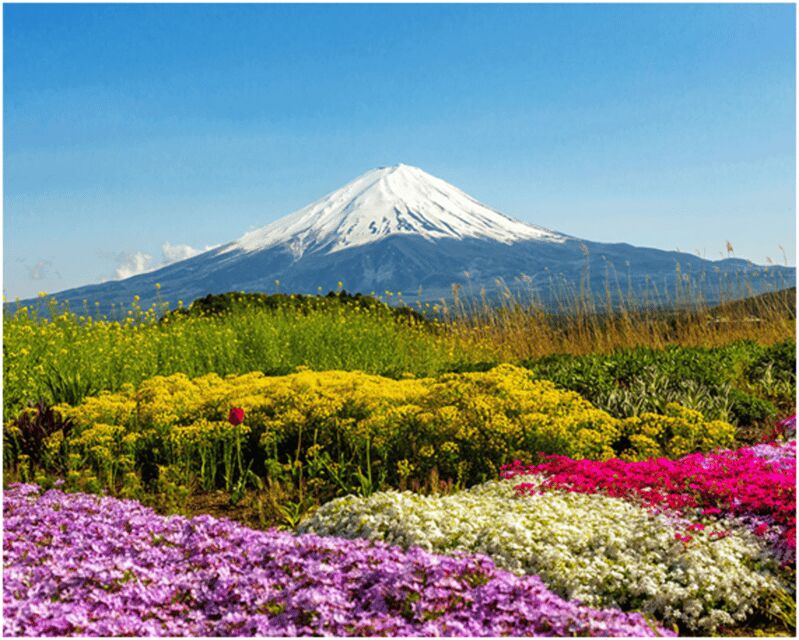 From Tokyo: Mt.Fuji, Lake Kawaguchi, Oshino Hakkai Day Tour - The Hikawa Clock Shop and the Arakura Fuji Sengen Shrine Walk