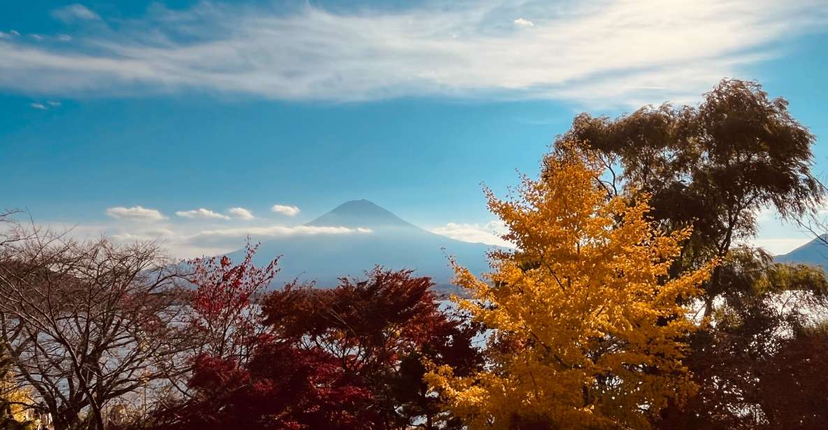 From Tokyo: Mt.Fuji, Tea Ceremony & Outlet Shopping Day Tour - Shinjuku pickup: the day’s easiest part