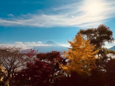 From Tokyo: Mt.Fuji, Tea Ceremony & Outlet Shopping Day Tour - The bus ride: comfortable, but treat it like a long day