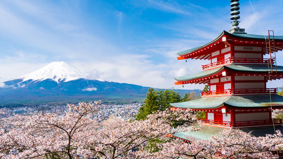 From Tokyo: Mt.Fuji, Tea Ceremony & Outlet Shopping Day Tour - Arakurayama Sengen Park: the Mt. Fuji photo angle comes with stairs