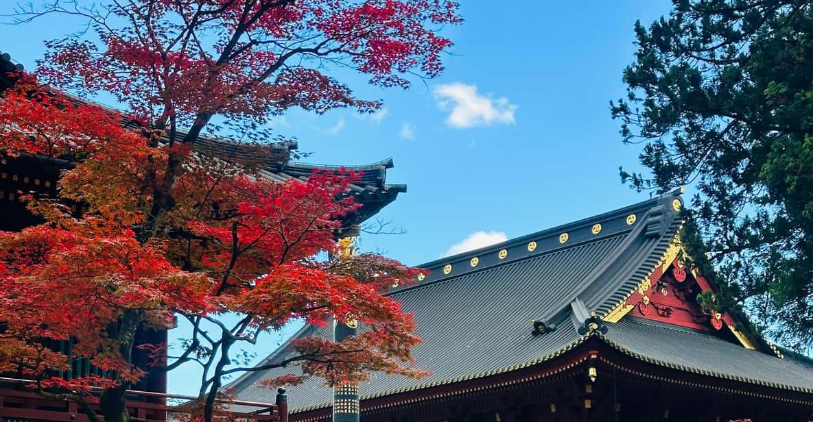 From Tokyo: Nikko Customize private Tour With English Driver - Rinnoji Temple: Buddhist architecture in a different tone