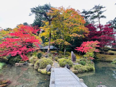 From Tokyo: Nikko Customize private Tour With English Driver - Toshogu Shrine: the carvings and sculptures worth slowing down for