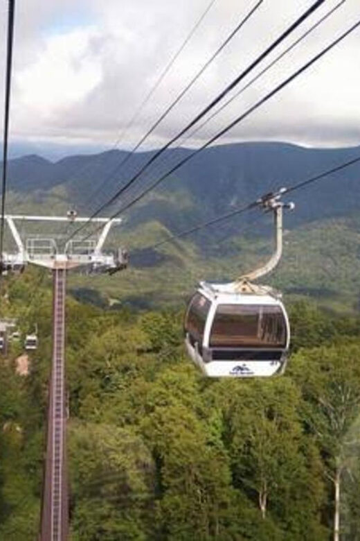 From Tokyo: Nikko luxury Tour with English-speaking Guide - Key highlights at a glance