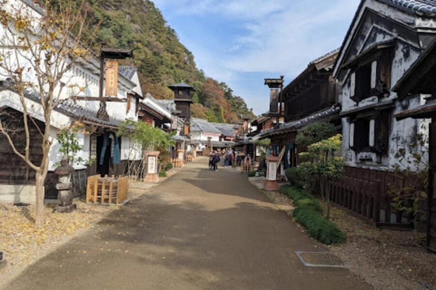From Tokyo: Nikko luxury Tour with English-speaking Guide - Nikko Toshogu Art Museum: a shorter culture stop that can pay off