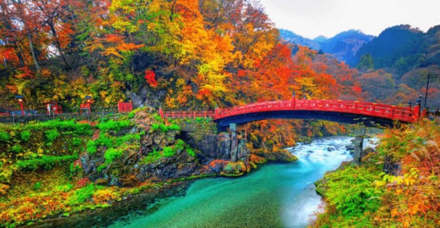 From Tokyo: Nikko luxury Tour with English-speaking Guide - Pickup, van comfort, and the first stretch of the ride