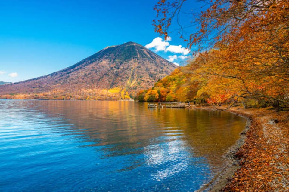From Tokyo: Nikko Toshogu Day tour with Traditional Lunch - Key highlights worth planning for