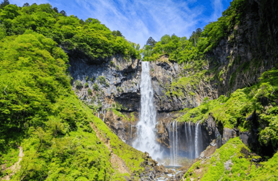 From Tokyo: Nikko Toshogu Day tour with Traditional Lunch - Lunch: Kuri Okowa Aoi Gozen and what to expect from a set menu