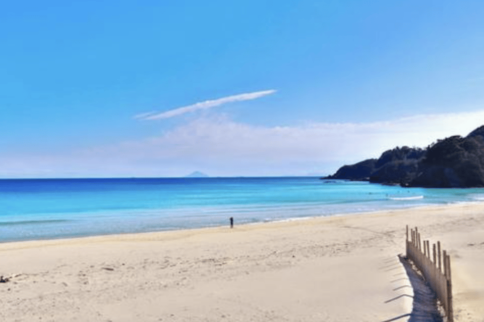 From Tokyo: Private Day Trip to Izu & Shimoda, Shizuoka - Key highlights you will feel fast
